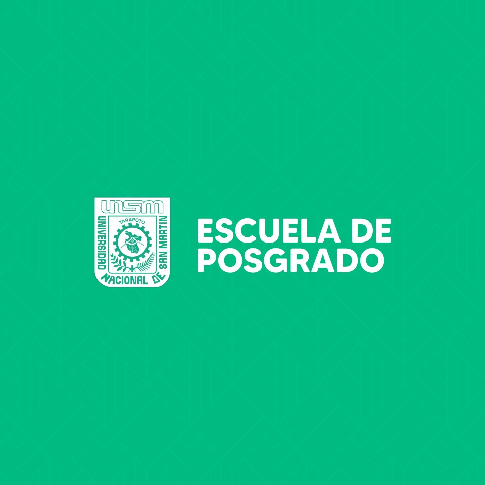 Investigación y Desarrollo UNSM